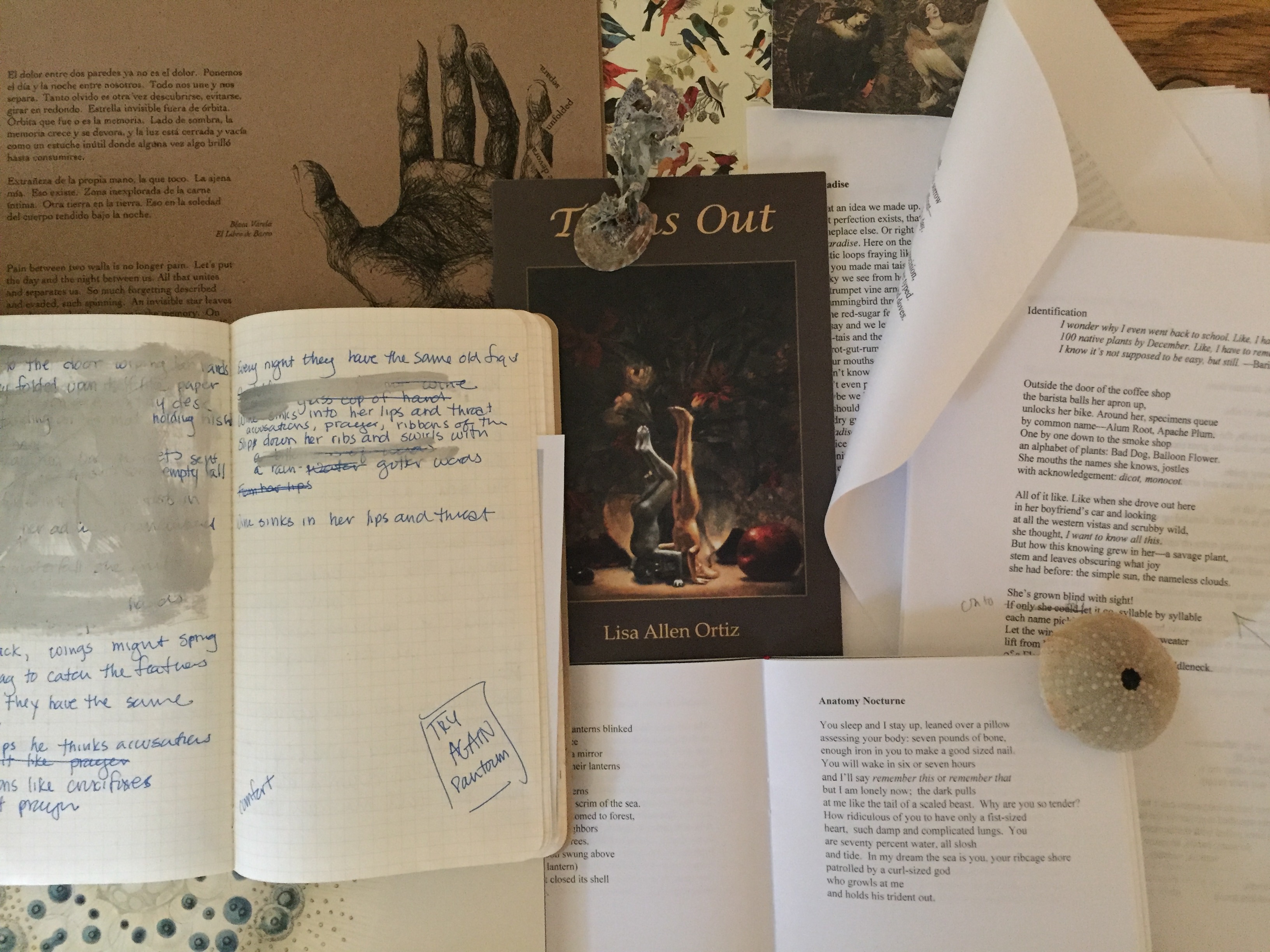 contact Lisa Allen Ortiz